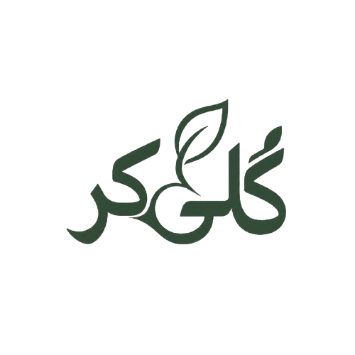 گُلی کُر